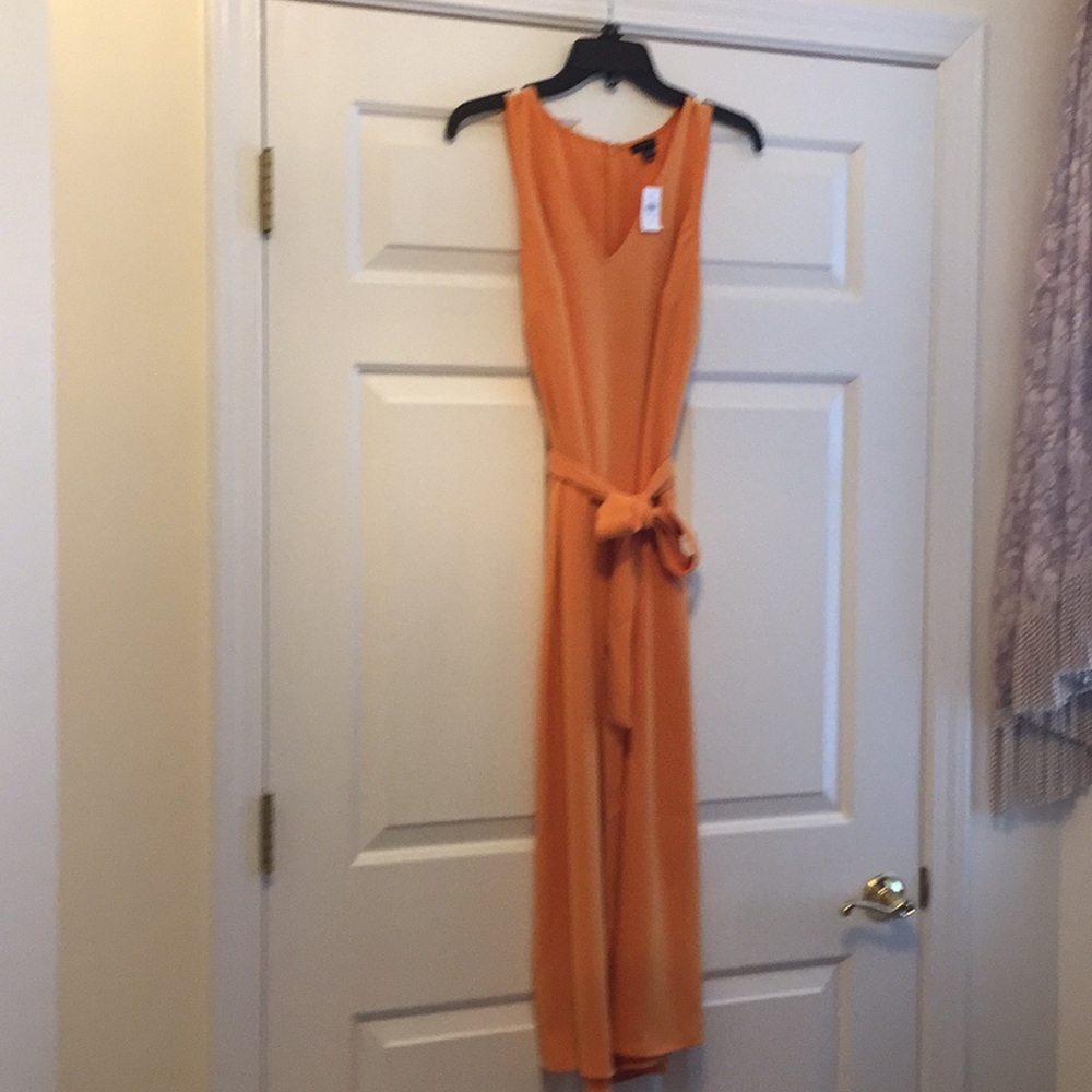Ann Taylor Dress (size8)
